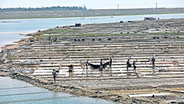 salt research and training institute