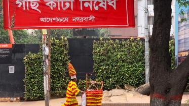 Environmental management in cities.jpeg