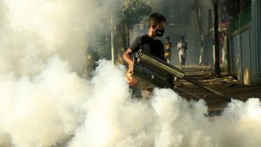 Bangladesh's dengue control methods are beyond inadequate