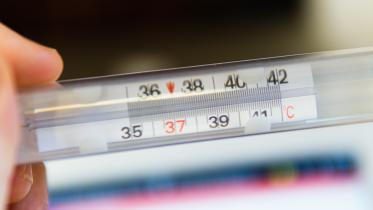 Understanding the difference between dengue, flu, and COVID-19