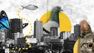 Our cities need animals