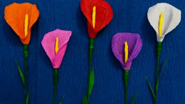 What's Real, really?