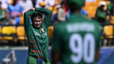 The Tigers' missed opportunity to unite a nation