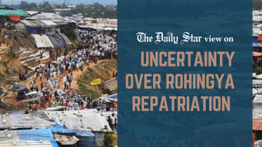 Rohingya repatriation.png