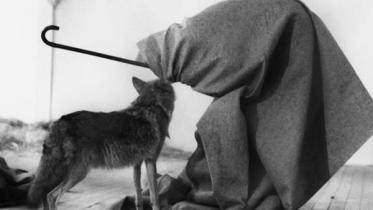  'I Like America and America Likes Me'