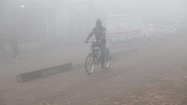 Cold wave Jan 2024 STAR