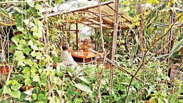 Rooftop gardening in Bangladesh