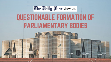 questionable formation of parliamentary committees