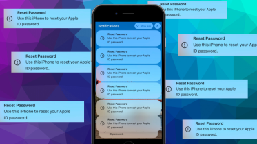 Apple password reset scam