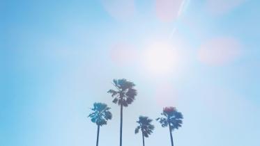 Searing summers: A journey through the hottest days on Earth