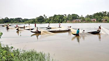 halda-dwindling-fish-population.jpg