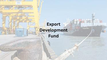 export_development_fund_20240813_142606_0000.jpg