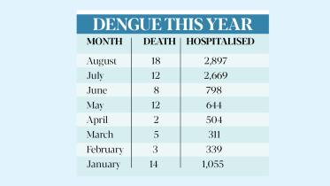dengue-this-year.jpg