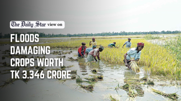 floods damage crops worth 3.346 crore