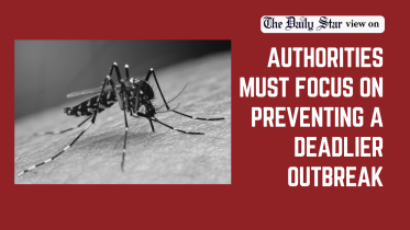 Governance gaps fuelling dengue concerns