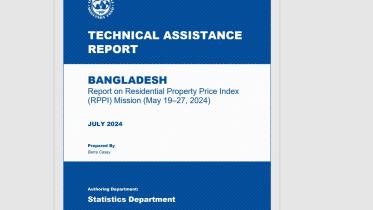 technical_assistance_report_imf.jpg