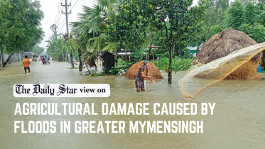 Flood-hit farmers.png