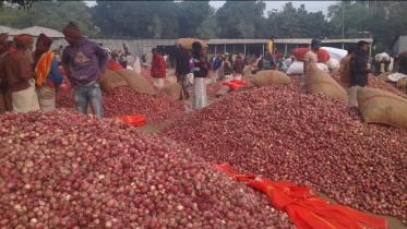 onion prices drop causing farmer protests