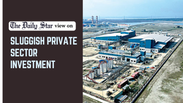 Sluggish private sector investment.png