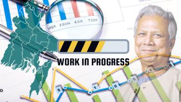 interim government economic progress