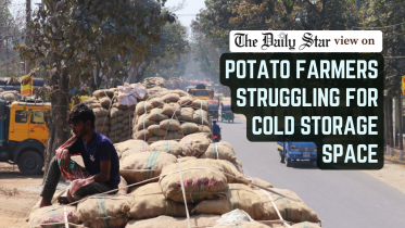 Potato farmers struggling for cold storage space