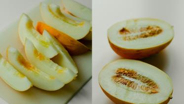 Why do all fathers have a love for bangi?