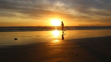 Walk, talk, burn fat: Magic of Zone 2 cardio           fred-neethling-t_kwo8lmyk4-unsplash.jpg