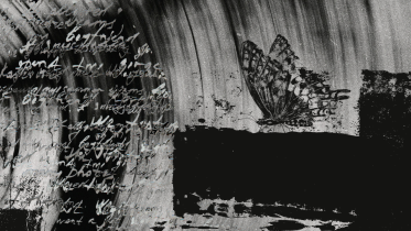 star literature poetry 