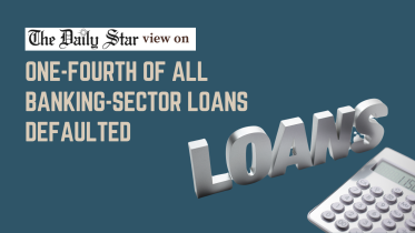 one-fourth of all banking-sector loans defaulted