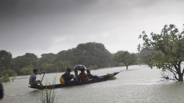 Ratargul and rain: A monsoon tale in motion