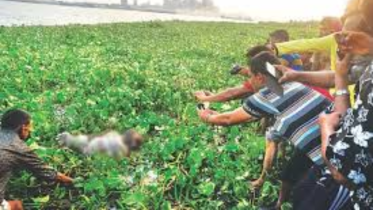 bodies recovered from rivers in Bangladesh
