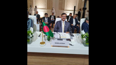 Foreign Affairs Adviser.png