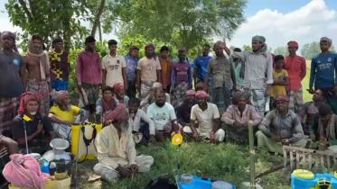 pabna-farmers.jpg