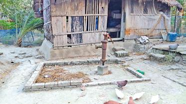 salinity problem in Sundarbans Bangladesh