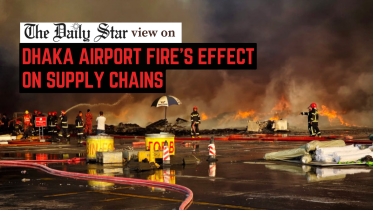 Legal migration for all workers crucial.png