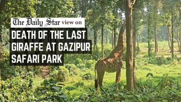 animal deaths at Gazipur Safari Park