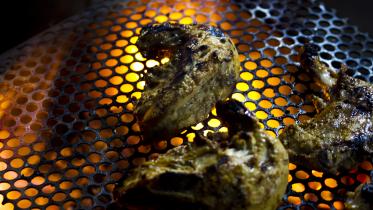 7 mouth-watering BBQ recipes to heat up your winter nights