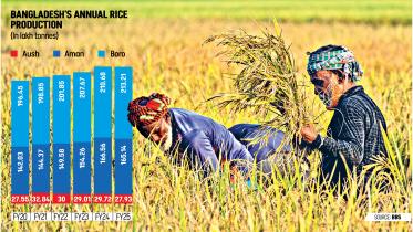 rice-production.jpg