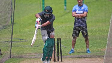 What areas would Tigers focus on in NZ series.jpg