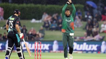 Tigers story for print.jpg