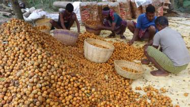 Storing Betel Nut _80b2.jpg