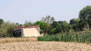 Bridge worth 7 crores of taka is useless due to lack of road.jpg
