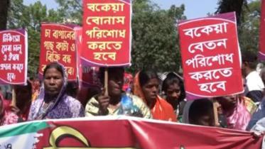 tea garden workers protest in Sylhet