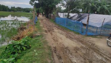 Poor road hampers tomato boom.jpg