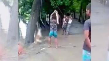 dog beaten to death.jpg