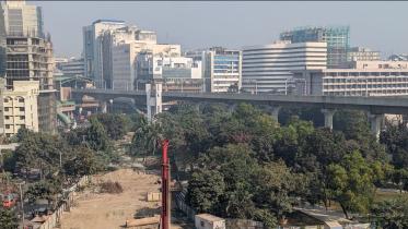 OP 2 - Apathy and lack of legal protection endanger dwindling urban greenery_1.jpg