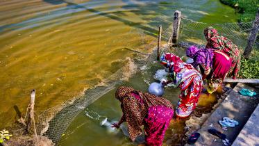 Salt in Their Throats.jpg