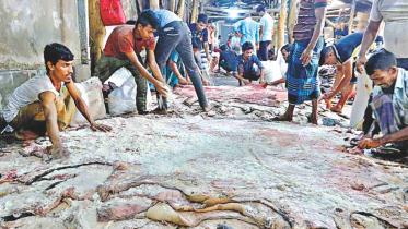 Govt fixes rawhide prices