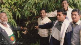 Batajore mass killing ground