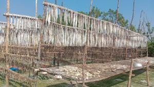 Untitled design (77).jpg